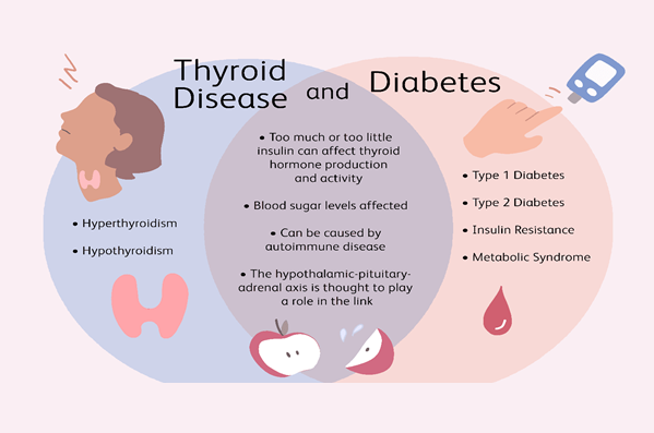 Thyroid disease and Diabetes - an Intermesh